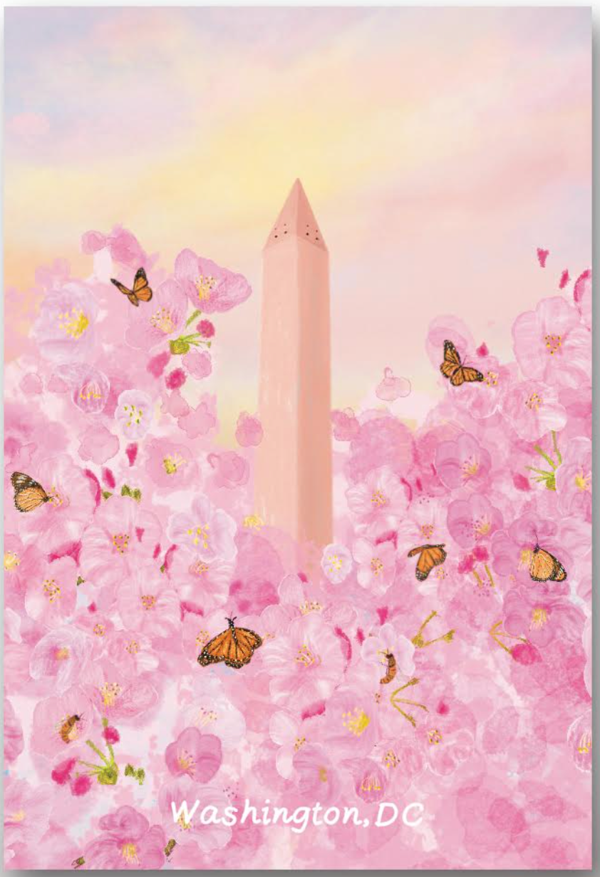 Washington DC Cherry Blossoms Magnet