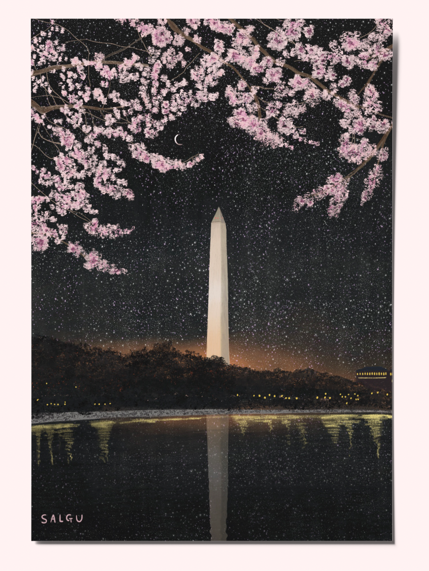 Washington Monument at Night Postcard