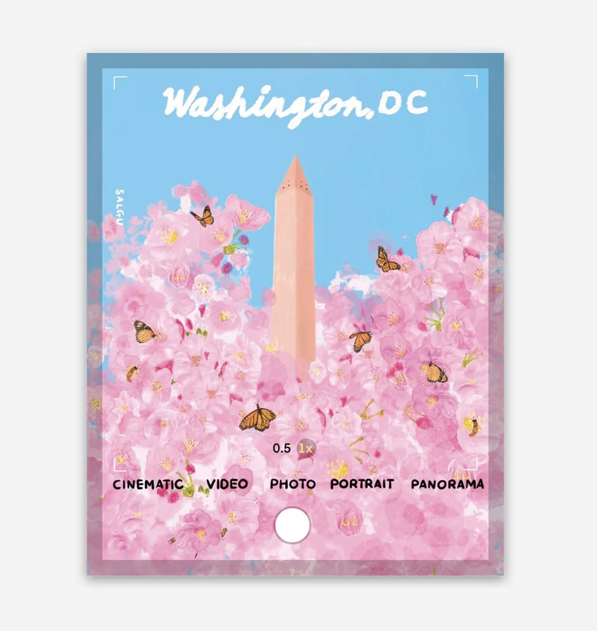 Washington DC Cherry Blossoms through the Lens Sticker