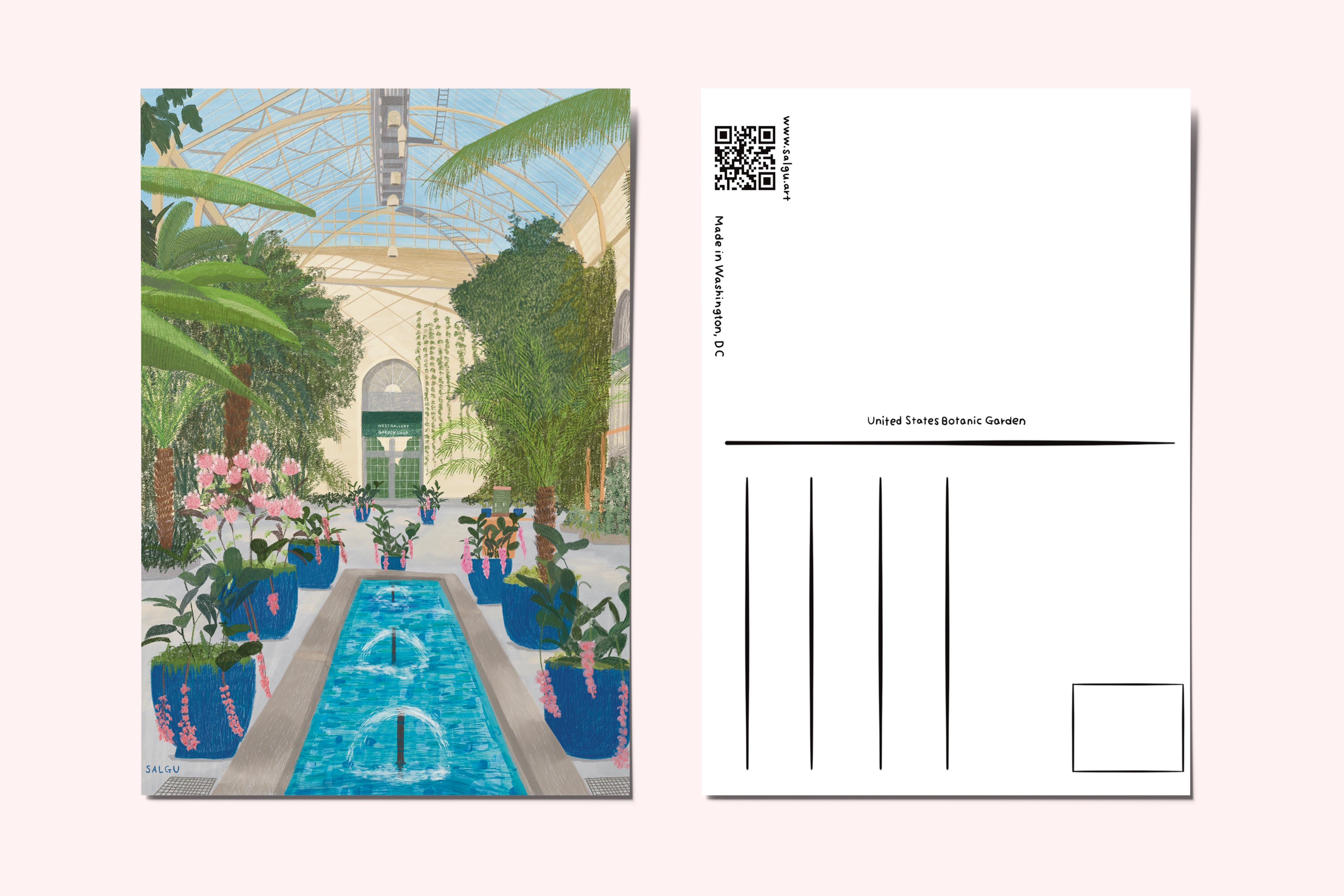 United States Botanic Garden Postcard