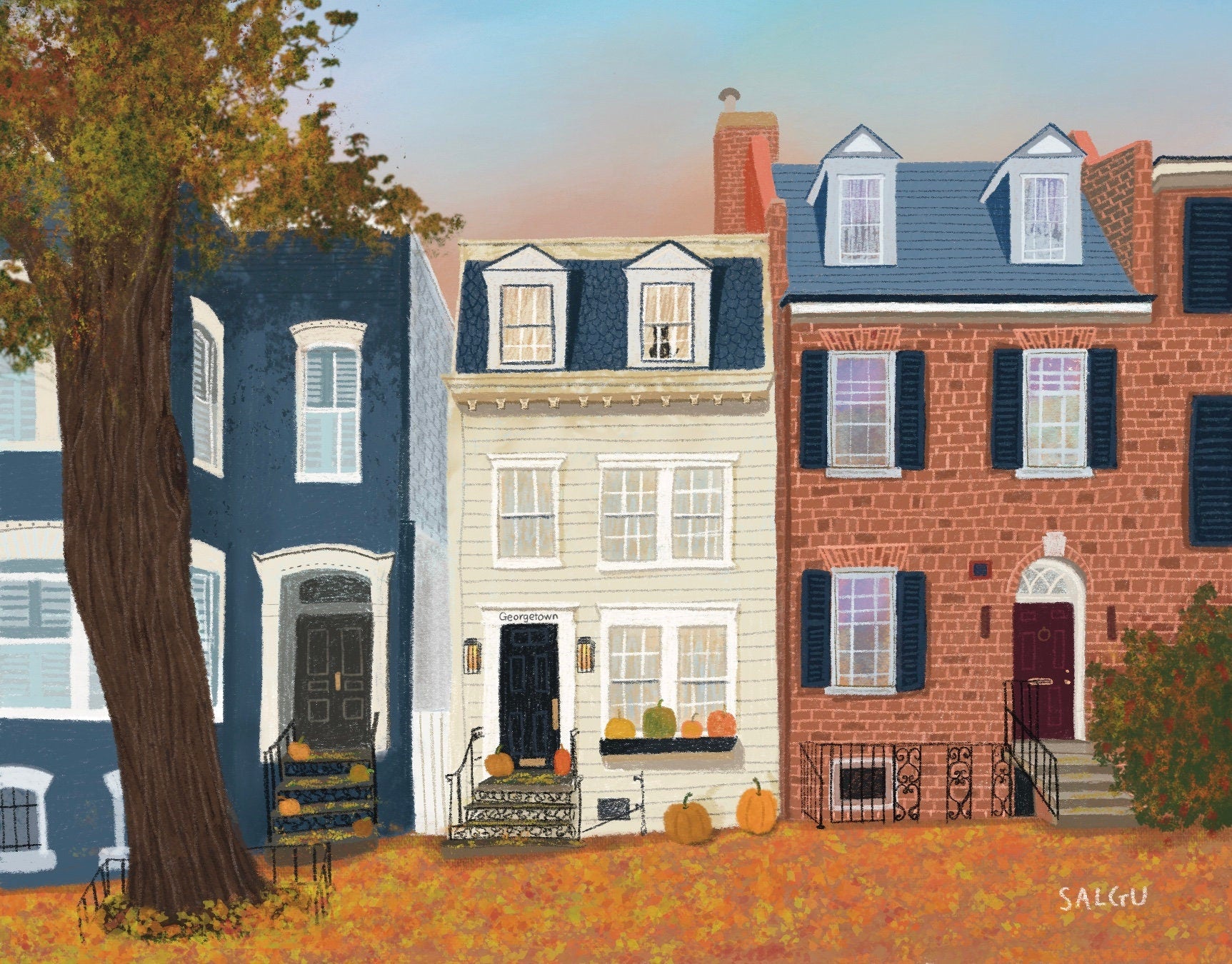 Georgetown Rowhouses in Fall Postcard
