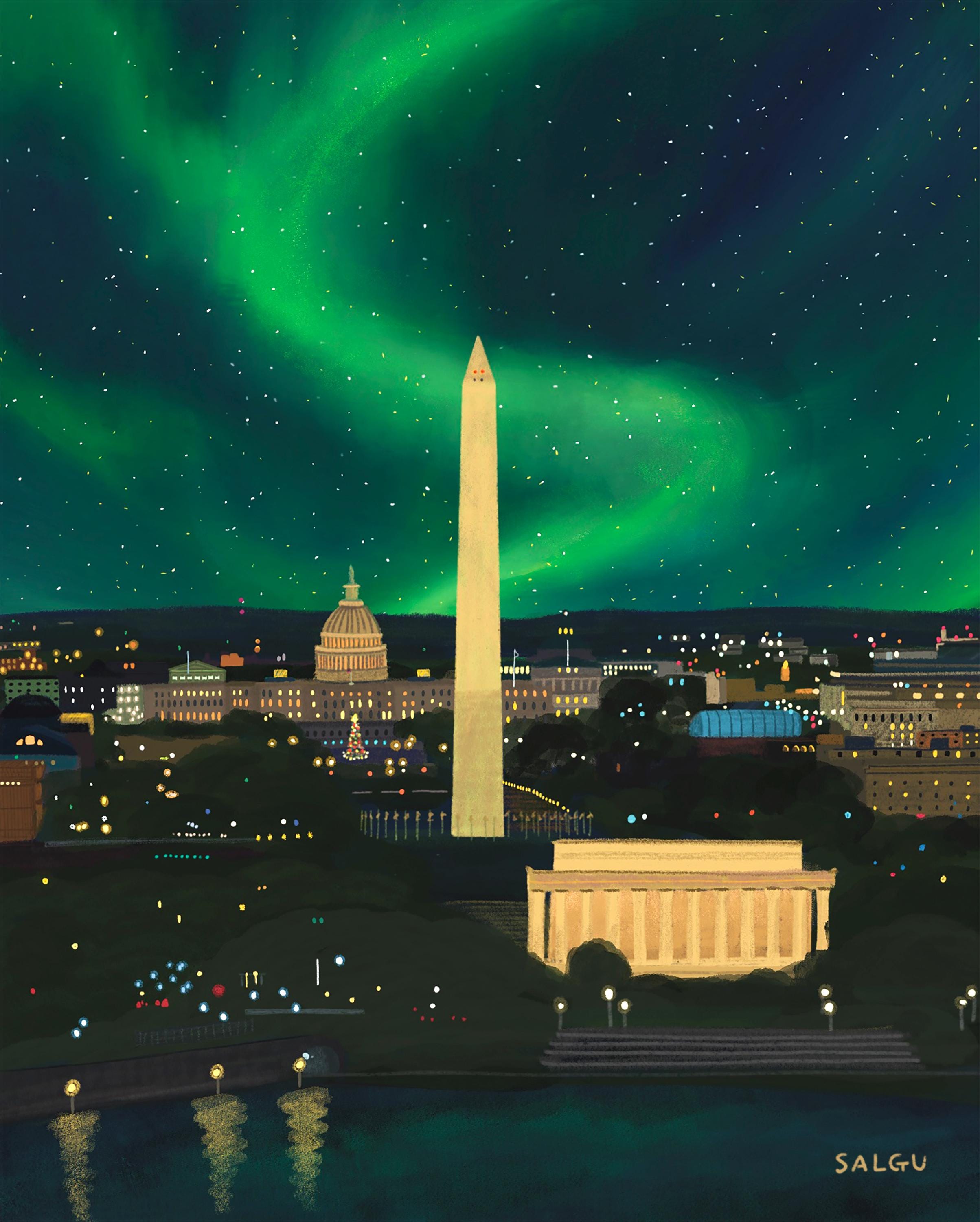 Northern Lights in DC Print