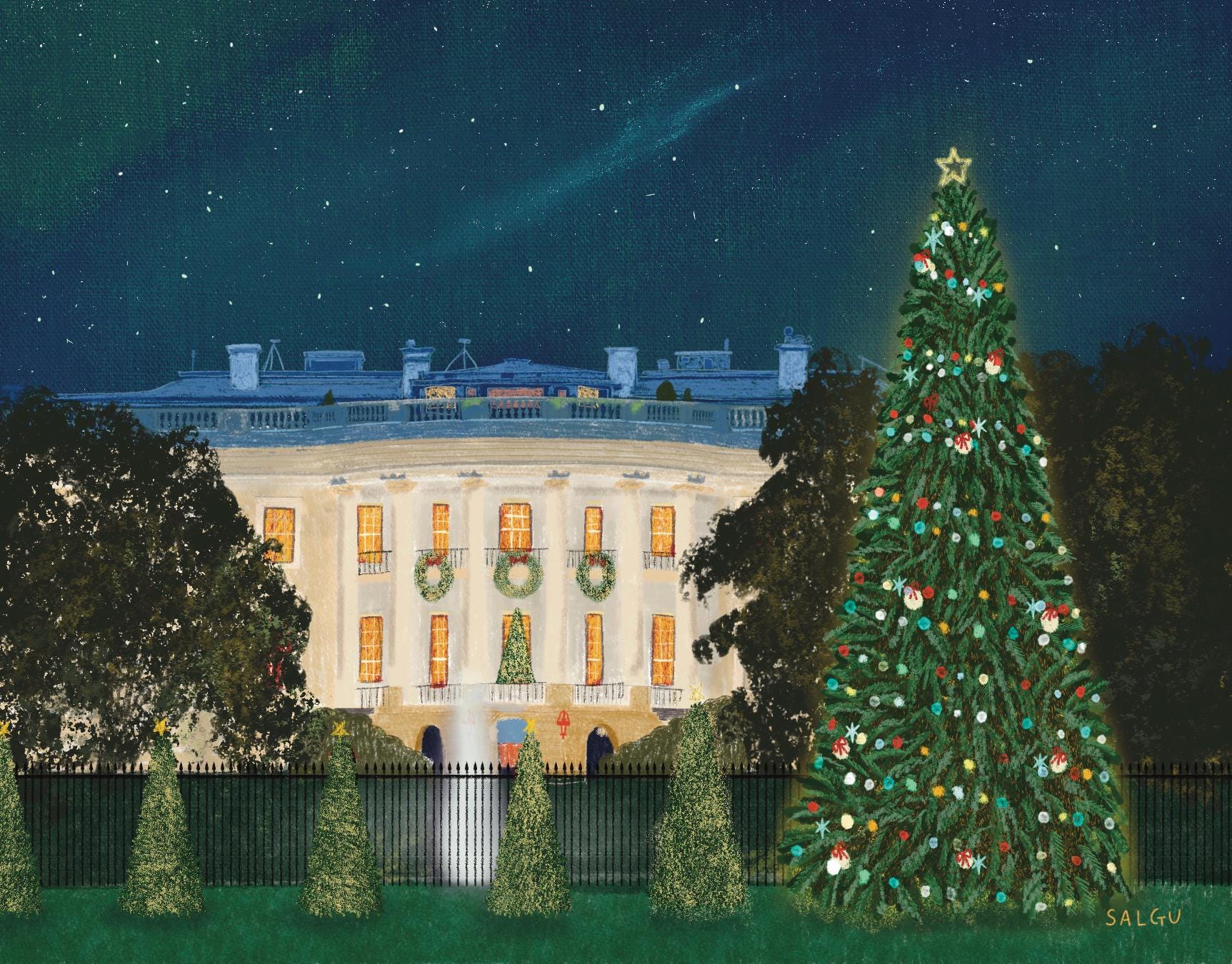White House at Christmas Postcard
