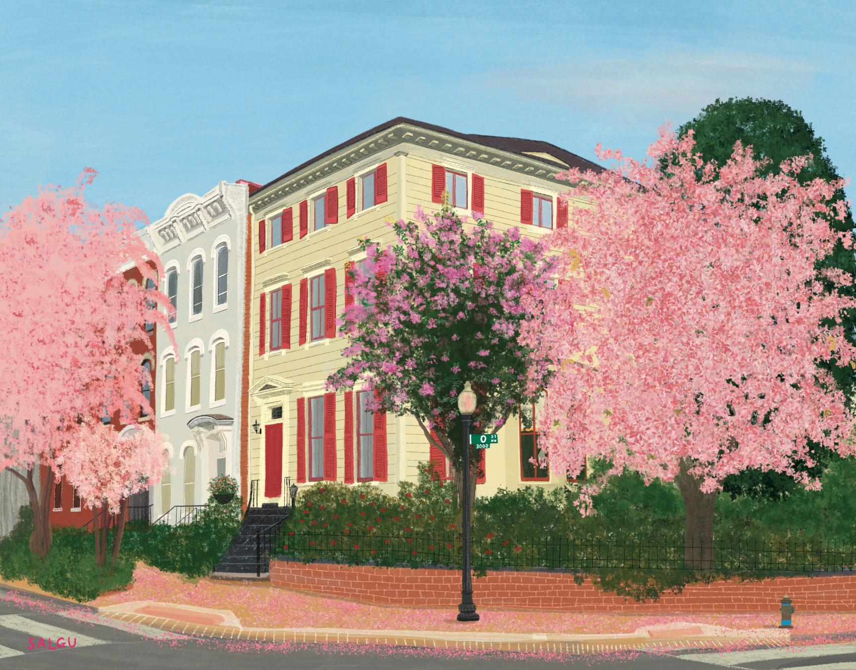 Georgetown Rowhouses in Spring Postcard