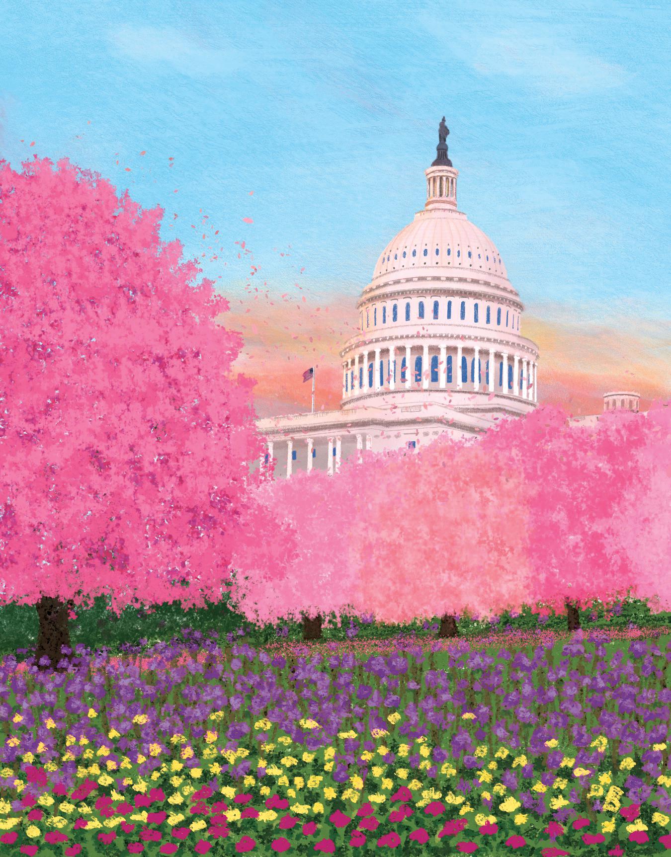 Capitol Building in Spring Postcard