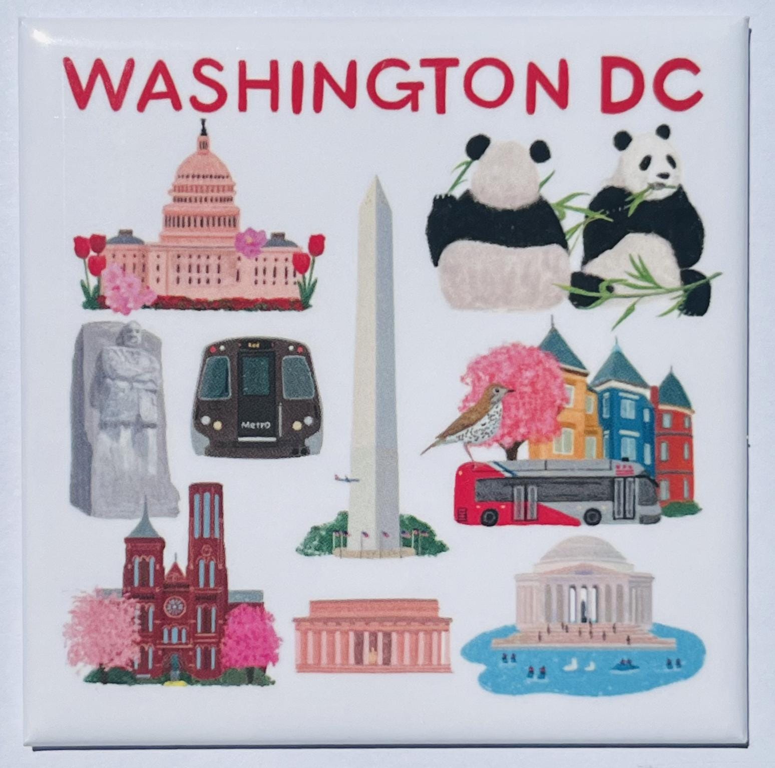 Little DC Things Magnet