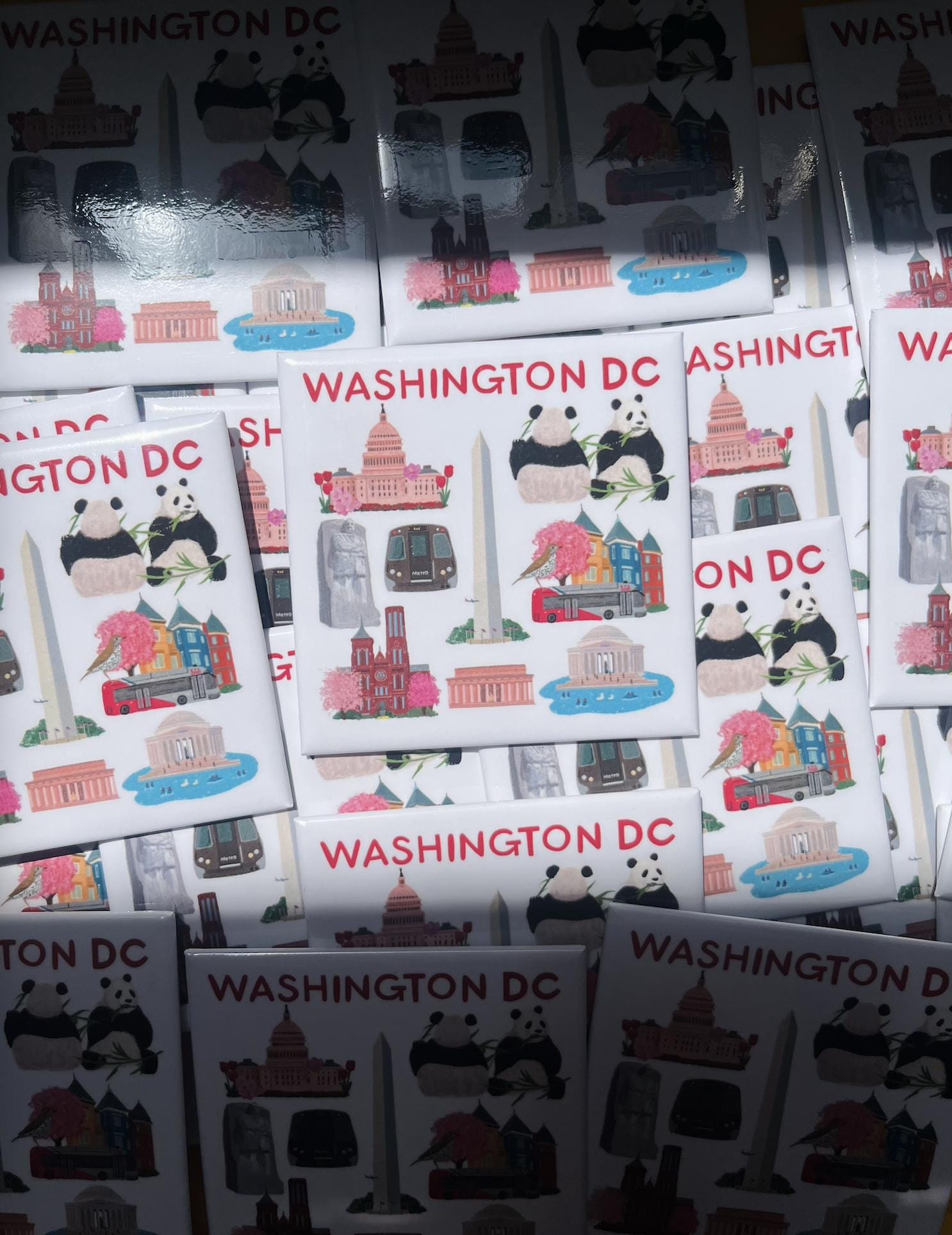 Little DC Things Magnet