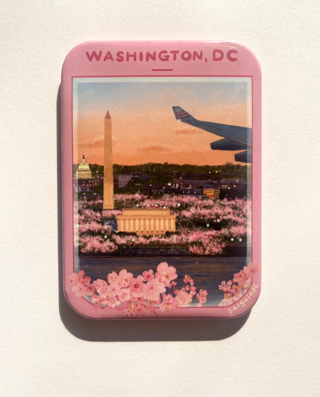DC in Bloom from the Airplane Window Magnet