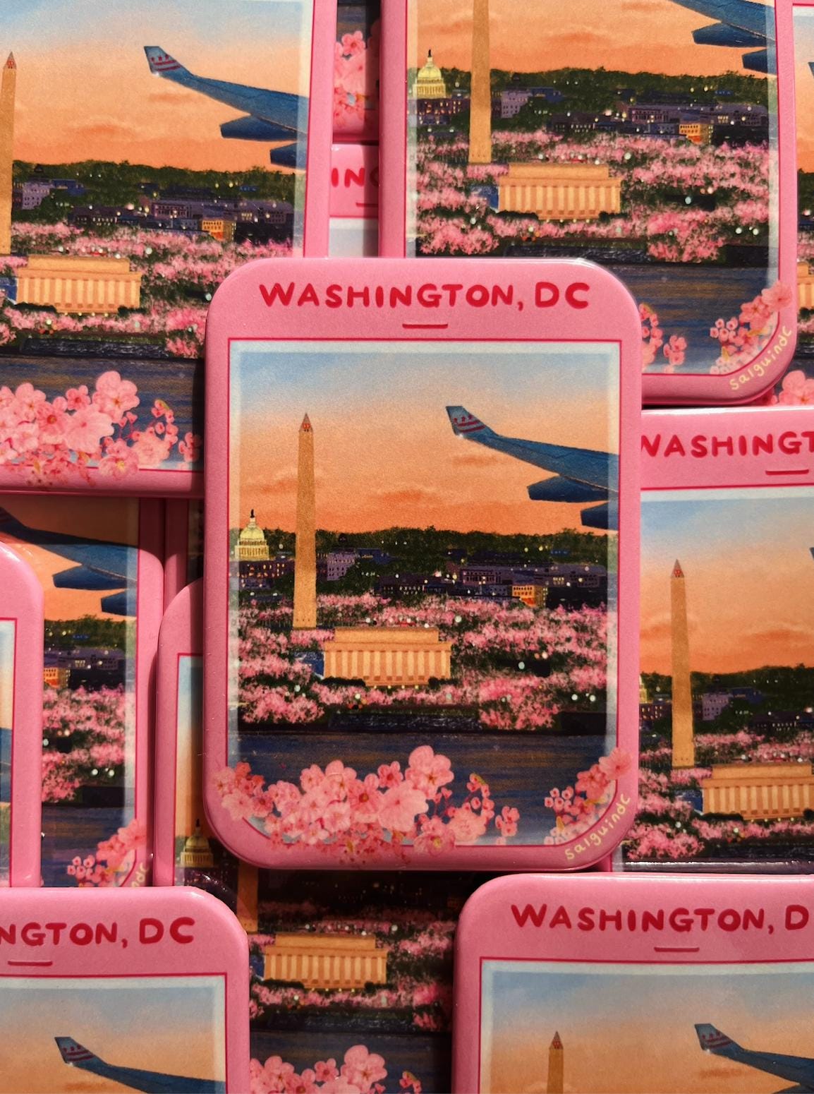 DC in Bloom from the Airplane Window Magnet